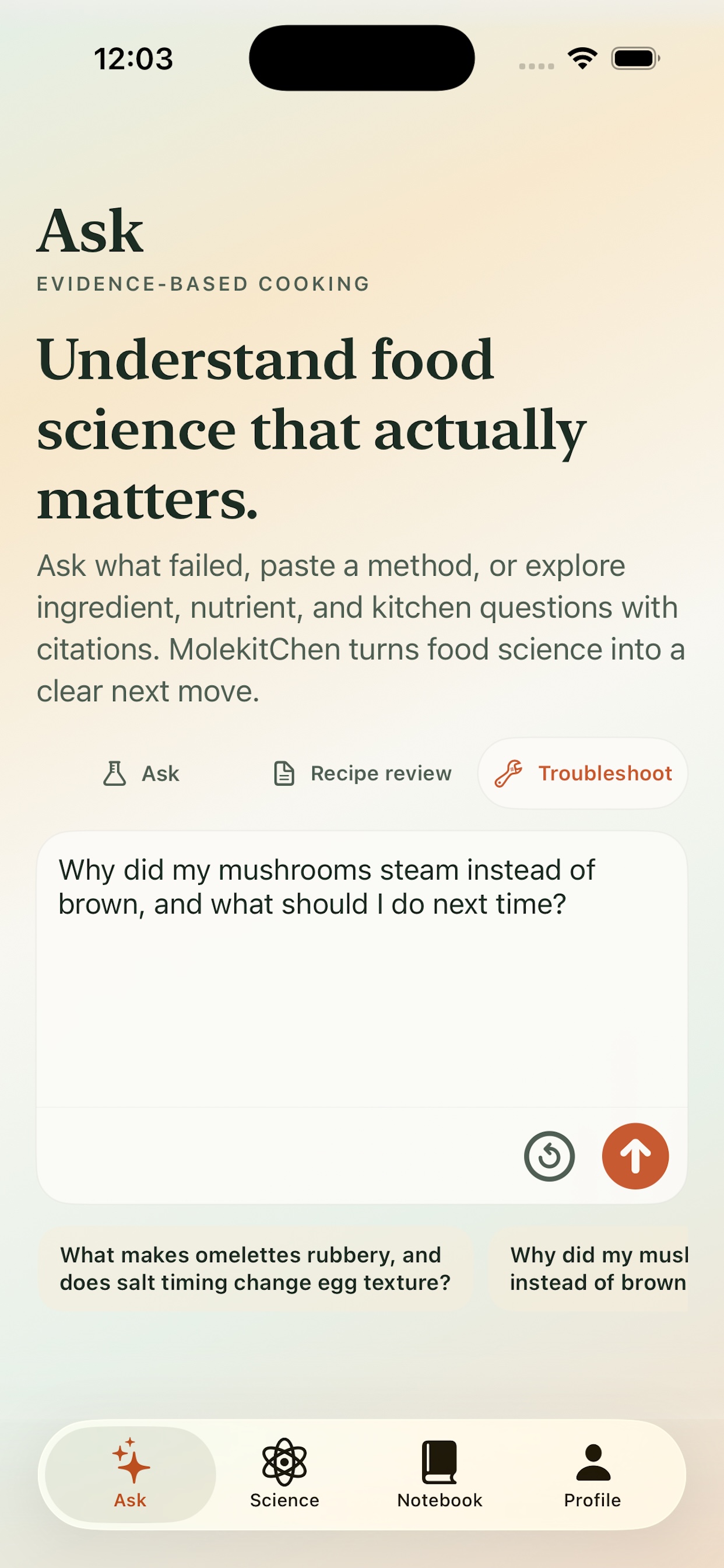 MolekitChen Ask workspace with troubleshooting mode selected